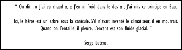 serge lutens parfum citation