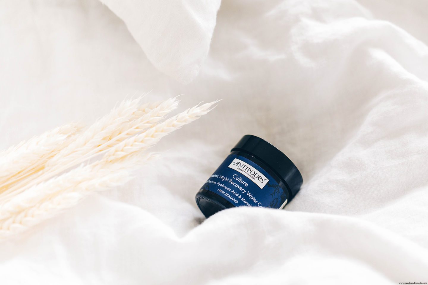 antipodes culture probiotic night recovery water cream avis test